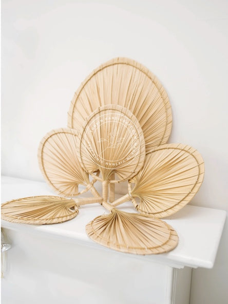 Palm Dried fans